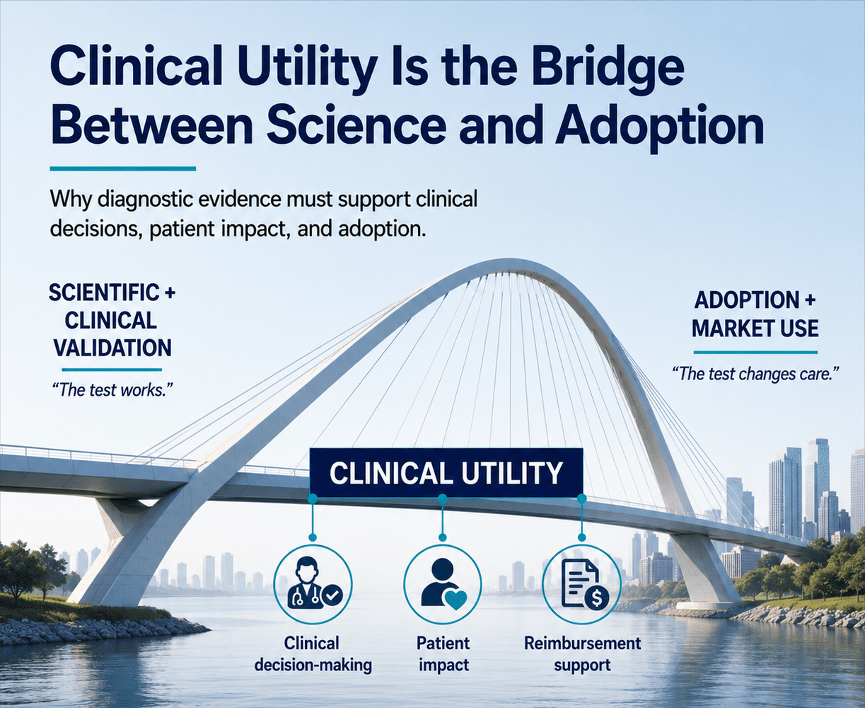 Clinical Utility is the bridge between Scientific and Clinical Validation ('the test works') and Adoption and Market Use ('the test changes care') — spanning Clinical decision-making, Patient impact, and Reimbursement support